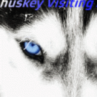 Huskey